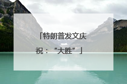 特朗普发文庆祝：“大胜”