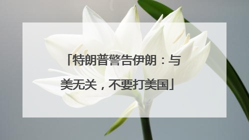 特朗普警告伊朗：与美无关，不要打美国
