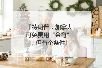 特朗普：加拿大可免费用“金穹”，但有个条件