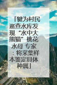 犍为村民巡查水库发现“水中大熊猫”桃花水母 专家：将采集样本鉴定具体种属