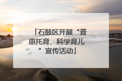 石鼓区开展“普惠托育、科学育儿”宣传活动