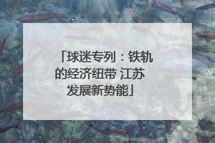 球迷专列：铁轨的经济纽带 江苏发展新势能