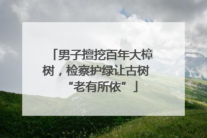 男子擅挖百年大樟树，检察护绿让古树“老有所依”