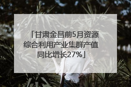甘肃金昌前5月资源综合利用产业集群产值同比增长27%