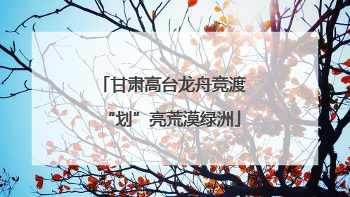 甘肃高台龙舟竞渡“划”亮荒漠绿洲