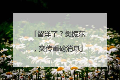 留洋了？樊振东，突传重磅消息