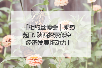 相约丝博会｜乘势起飞 陕西探索低空经济发展新动力