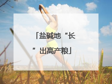 盐碱地“长”出高产粮