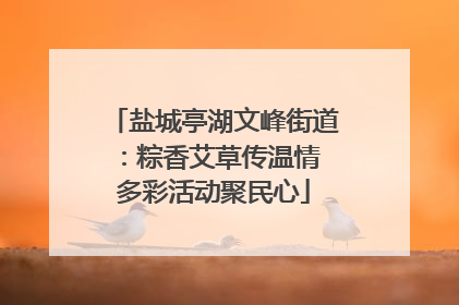 盐城亭湖文峰街道：粽香艾草传温情 多彩活动聚民心