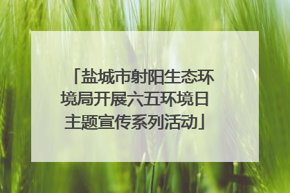 盐城市射阳生态环境局开展六五环境日主题宣传系列活动
