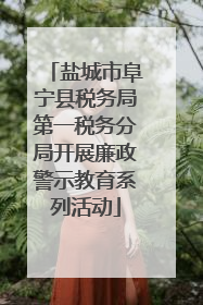 盐城市阜宁县税务局第一税务分局开展廉政警示教育系列活动