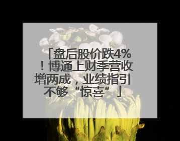 盘后股价跌4%！博通上财季营收增两成，业绩指引不够“惊喜”