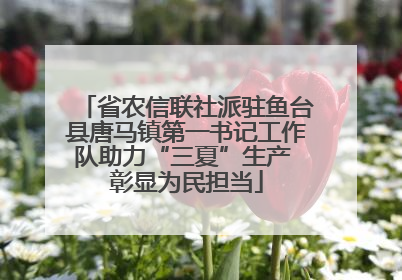 省农信联社派驻鱼台县唐马镇第一书记工作队助力“三夏”生产 彰显为民担当