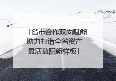 省市合作双向赋能 助力打造全省资产盘活益阳新样板