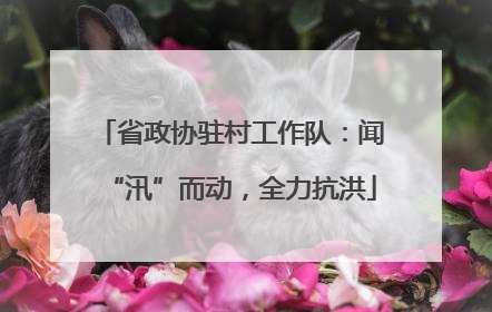 省政协驻村工作队：闻“汛”而动，全力抗洪