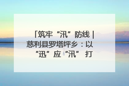 筑牢“汛”防线｜慈利县罗塔坪乡：以“迅”应“汛” 打赢暴雨防御战