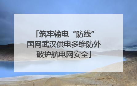 筑牢输电“防线” 国网武汉供电多维防外破护航电网安全