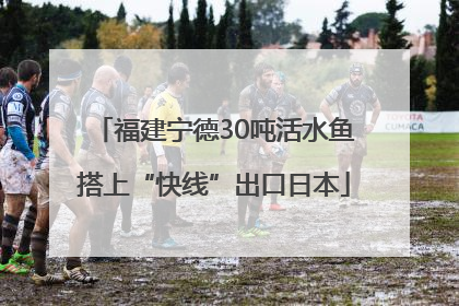 福建宁德30吨活水鱼搭上“快线”出口日本