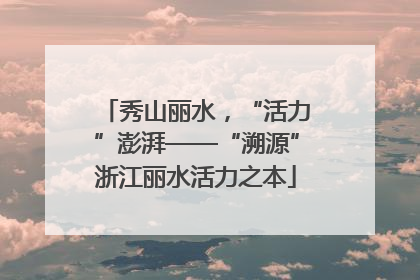 秀山丽水，“活力”澎湃——“溯源”浙江丽水活力之本