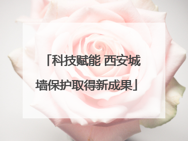 科技赋能 西安城墙保护取得新成果