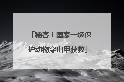 稀客！国家一级保护动物穿山甲获救