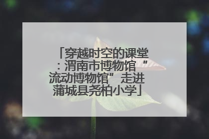 穿越时空的课堂：渭南市博物馆“流动博物馆”走进蒲城县尧柏小学