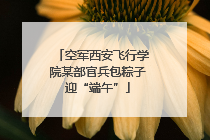 空军西安飞行学院某部官兵包粽子迎“端午”