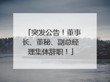 突发公告！董事长、董秘、副总经理集体辞职！