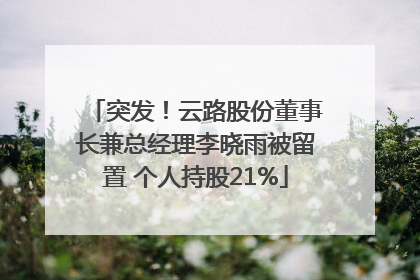 突发！云路股份董事长兼总经理李晓雨被留置 个人持股21%