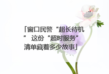 窗口民警“超长待机” 这份“超时服务”清单藏着多少故事