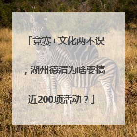 竞赛+文化两不误，湖州德清为啥要搞近200项活动？