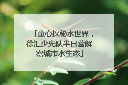 童心探秘水世界，徐汇少先队半日营解密城市水生态