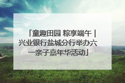 童趣田园 粽享端午｜兴业银行盐城分行举办六一亲子嘉年华活动