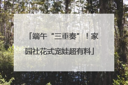 端午“三重奏”！家园社花式宠娃超有料
