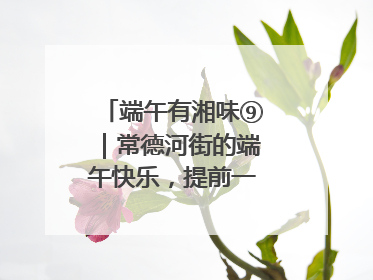 端午有湘味⑨｜常德河街的端午快乐，提前一天就开始了
