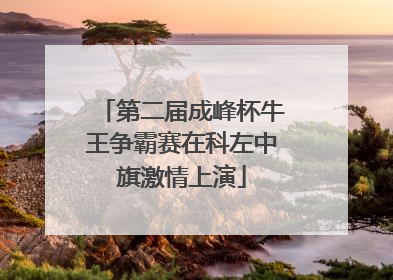 第二届成峰杯牛王争霸赛在科左中旗激情上演