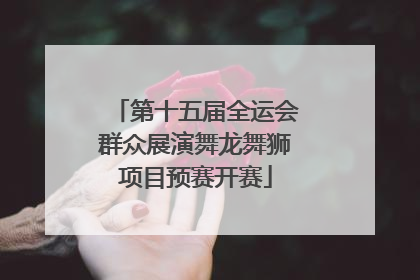 第十五届全运会群众展演舞龙舞狮项目预赛开赛