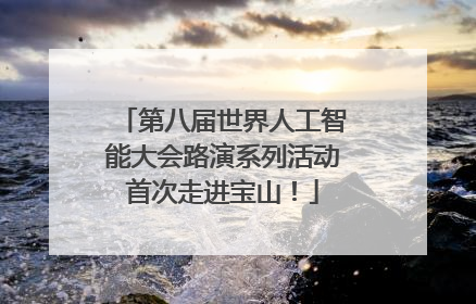第八届世界人工智能大会路演系列活动首次走进宝山！