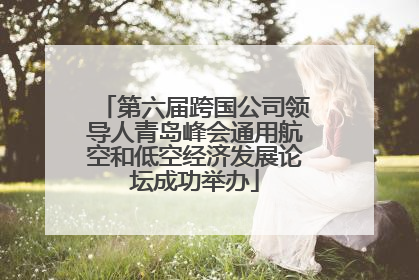 第六届跨国公司领导人青岛峰会通用航空和低空经济发展论坛成功举办