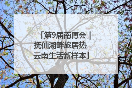 第9届南博会｜抚仙湖畔旅居热 云南生活新样本
