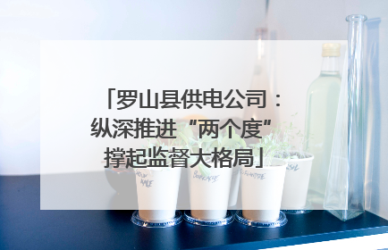 罗山县供电公司：纵深推进“两个度” 撑起监督大格局