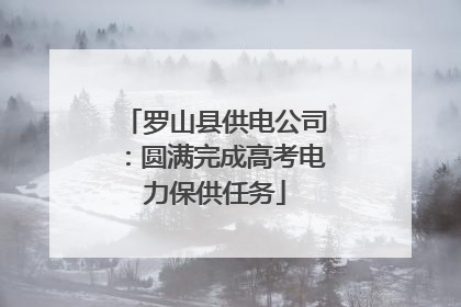 罗山县供电公司：圆满完成高考电力保供任务