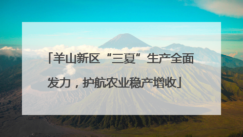 羊山新区“三夏”生产全面发力，护航农业稳产增收