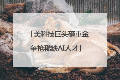 美科技巨头砸重金争抢稀缺AI人才