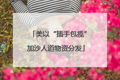 美以“插手包揽”加沙人道物资分发