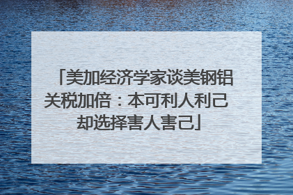 美加经济学家谈美钢铝关税加倍：本可利人利己 却选择害人害己