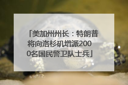 美加州州长：特朗普将向洛杉矶增派2000名国民警卫队士兵