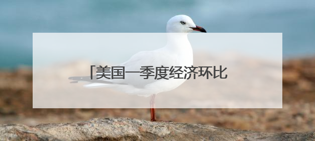 美国一季度经济环比萎缩0.2% 关税政策不确定性拖累增长
