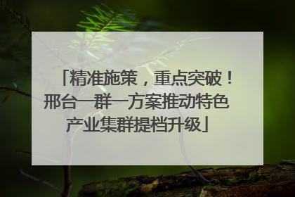 精准施策，重点突破！邢台一群一方案推动特色产业集群提档升级