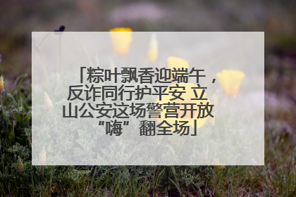粽叶飘香迎端午，反诈同行护平安 立山公安这场警营开放“嗨”翻全场